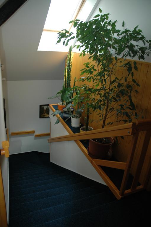 Apartamento Privát Nováč Nové Město nad Metují Exterior foto